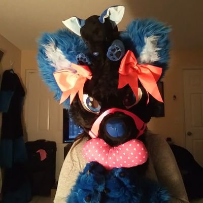 Ninja Fluff Akari @Retiredさんのプロフィール画像