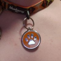 Copper 🦊 (@leashedcopper) 's Twitter Profile