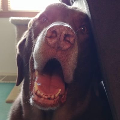 lucynlogan's profile picture. 