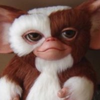 Critter (@critttr) 's Twitter Profile Photo Critter (@critttr) 's Twitter Profile Photo