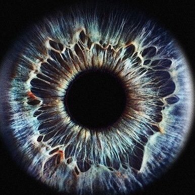 D4BB20's profile picture. IN THIS HOUSE, WE OBEY THE LAWS OF THERMODYNAMICS!