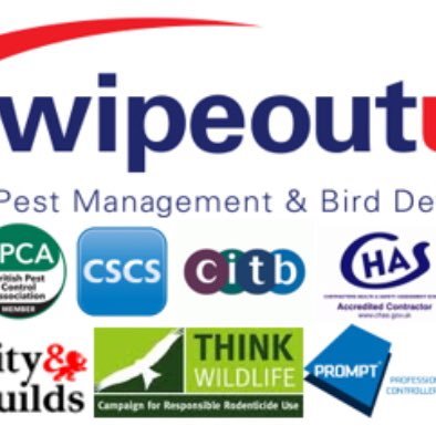 Commercial & Domestic Pest Control Services in North England 0800 28 00 999 📧 info@wipeoutukpestcontrol.com. https://t.co/jGm2C7bnmJ