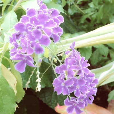 YarYar72018441's profile picture. Stray Kids Bts Twice