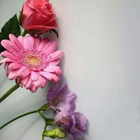 ذكر الله (@s7337k) 's Twitter Profile