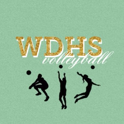 WDHSvolley Profile Picture