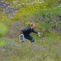 Remi Ketchum (@remiketchum) 's Twitter Profile Photo Remi Ketchum (@remiketchum) 's Twitter Profile Photo