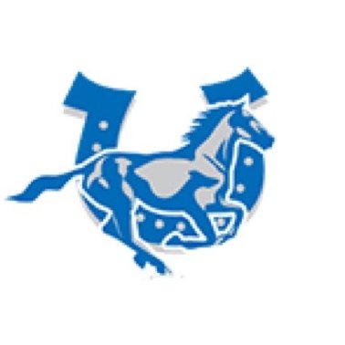 HREMustangs Profile Picture