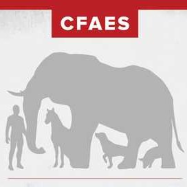 CFAES Center for Human-Animal Interactions Research & Education. Research, education, & outreach in welfare/behavior, conservation, and companionship/zooeyia!