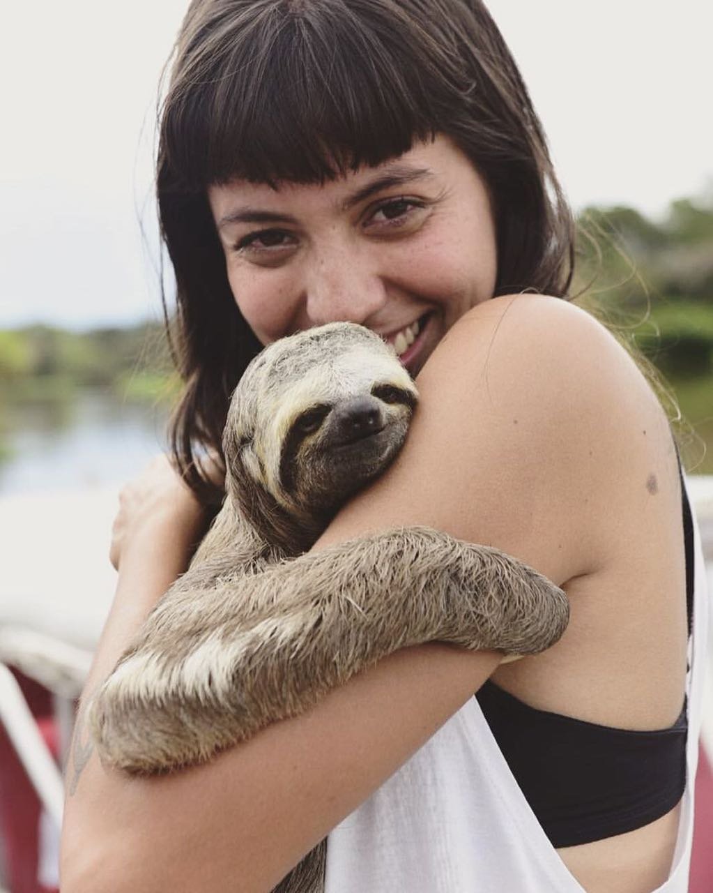 PPacame's profile picture. 