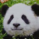 masa - @c25serena_rider - Twitter