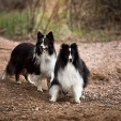 aquariangt's profile picture. 