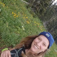AmyKendell (@mskendell) 's Twitter Profile