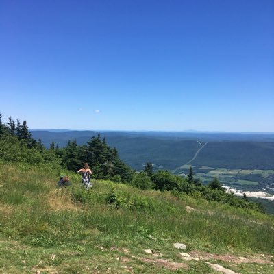 ttolan71's profile picture. 