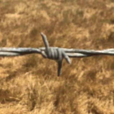 blurr1's profile picture. iOS Developer learning Android.