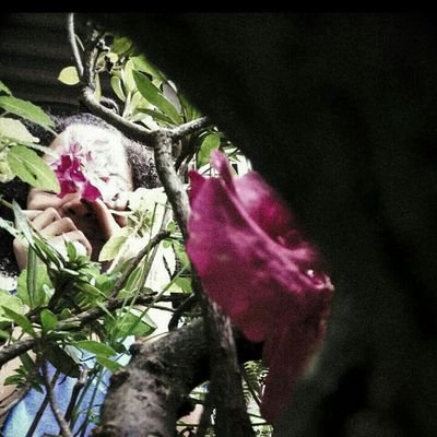 _J_Ashley_B_'s profile picture. 👑💄🐷