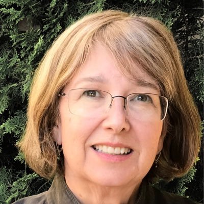 Santa Rosa City Council member, Housing Champion, Engineering and Psychology degrees, Neighborhood Activist