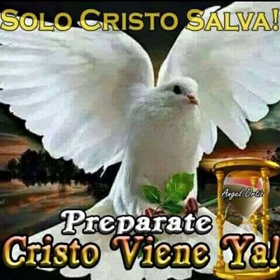 LaraAntenor's profile picture. Musicales