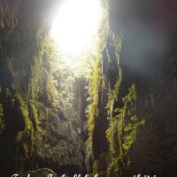 Waitomo Adventures (@waitomoadventur) 's Twitter Profile