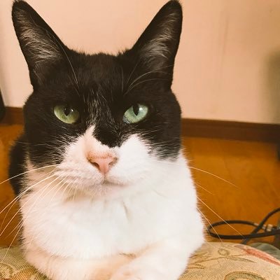 日本人男性です。各種造形を生業としております。