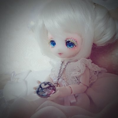 terra＊(てら)さんのプロフィール画像