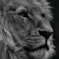 Mansoor (@mansoor58825970) Twitter profile photo