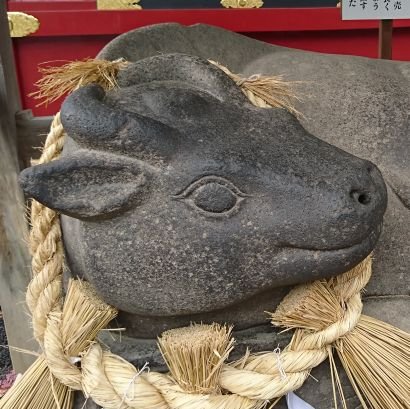 ★  盛岡市在住の御朱印淑女…神社仏閣、御朱印、御城印、マンホールカード関連の呟きをフォロー&いいねします❤
 #御朱印散歩 
★  旅やグルメをぬいぐるみ目線で呟き専用⇒@doll_trip   
★  いいねやフォロー大歓迎です♪リフォローは、関連投稿のある人のみm(_ _)m