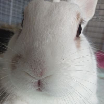 hblfish's profile picture. 