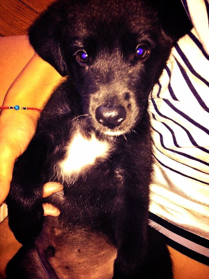 FrencH1986's profile picture. 人生という名の旅に終わりはない 海のそばで暮らしたい The future want to live in a small island.