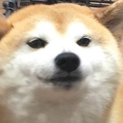 sethpryc's profile picture.