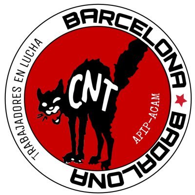 CntAcam's profile picture. Sección Sindical de trabajadores de la empresa Apip-Acam. Badalona - Barcelona - Sant Fost - El Prat