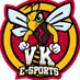 🐝VK eSports🐝 (@vk_esports_) Twitter profile photo 🐝VK eSports🐝 (@vk_esports_) Twitter profile photo