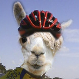 lama-head-on-bike.jpg