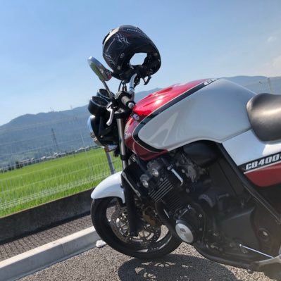 HedgehogFoolish's profile picture. 