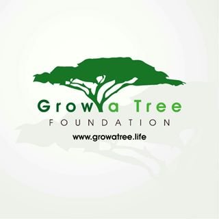 growa_tree Profile Picture