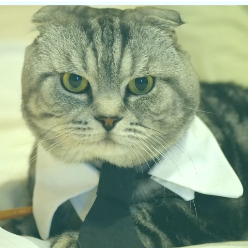 BaTpyLLlKa's profile picture. 