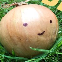 THE ONION BAG (@theonionbagfpl) 's Twitter Profile Photo THE ONION BAG (@theonionbagfpl) 's Twitter Profile Photo