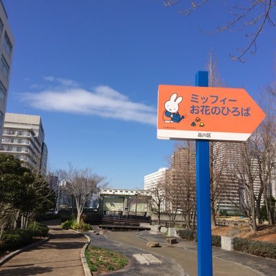 kumagai0925's profile picture. 関東在住 会社員 2021年の秋から将棋を始めました🦙