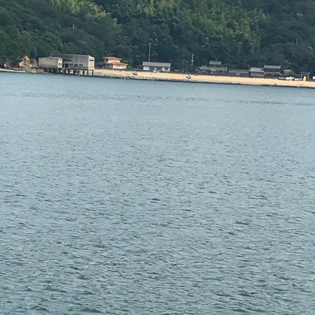 ryoya_80510's profile picture. 