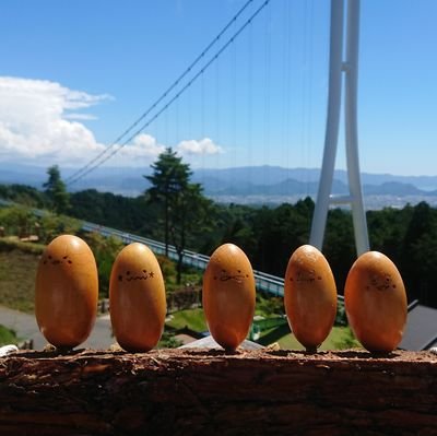 maikaru0904's profile picture. (ﾟﾚ゜)(´д｀)(・_・)