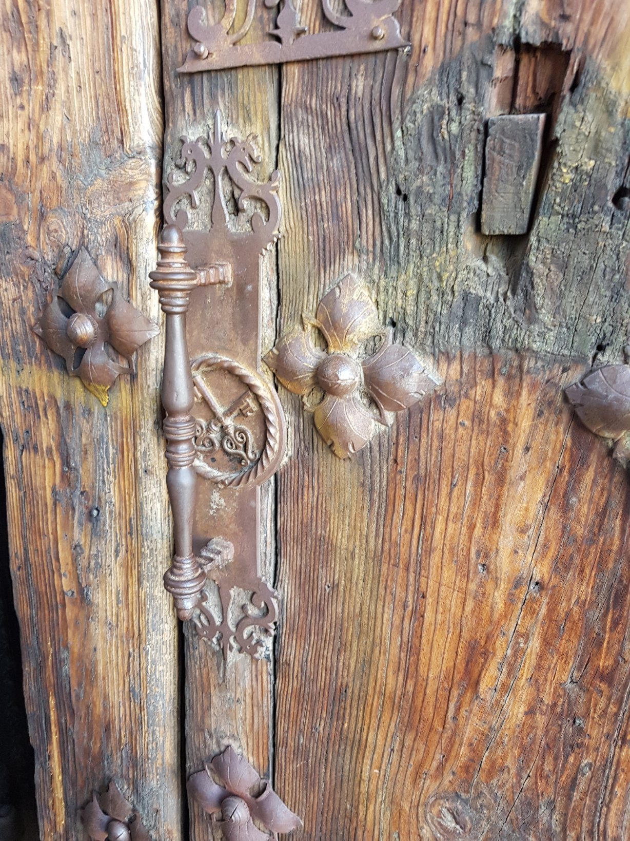 Nataliapiku1's profile picture. A veces no me entiendo ni yo...