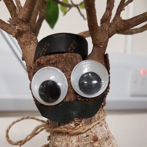 Former Community Manager for @AnimalPuree. #TreeLivesMatter #JusticeForManwell #Manwell2020