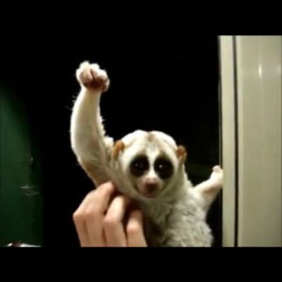 j7m1hlTwBsiQ4D7's profile picture. 大学