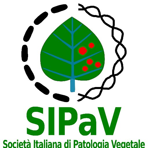 La Società Italiana di Patologia vegetale, fondata nel 1992, è costituita da chi, a livello pubblico e privato, si occupa in Italia della salute delle piante.