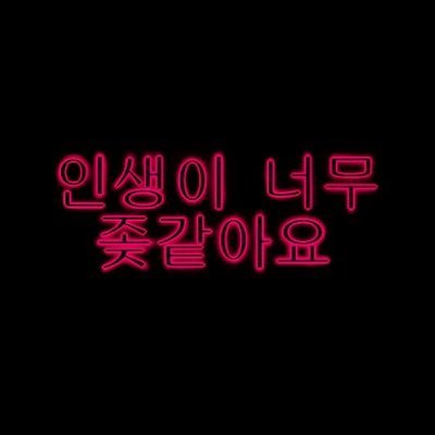 동결さんのプロフィール画像