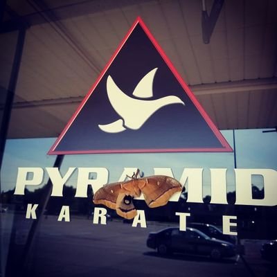 KaratePyramid's profile picture. We are a Karate school on Indy's East side, specializing in teaching Karate, kickboxing, and boxing to kids and adults.
  
5122 N Franklin Rd
Lawrence, IN 46226