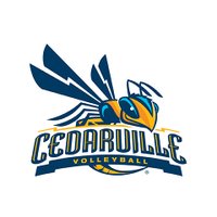 Cedarville Volleyball(@cedarvillevball) 's Twitter Profile Photo