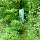 Raimon (@robotrobot) 's Twitter Profile Photo