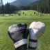 de Boer's Golf Shop and Fitting Centre (@deboersgolf) Twitter profile photo de Boer's Golf Shop and Fitting Centre (@deboersgolf) Twitter profile photo