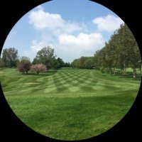 Letchworth_greens (@letchworthgreen) 's Twitter Profile