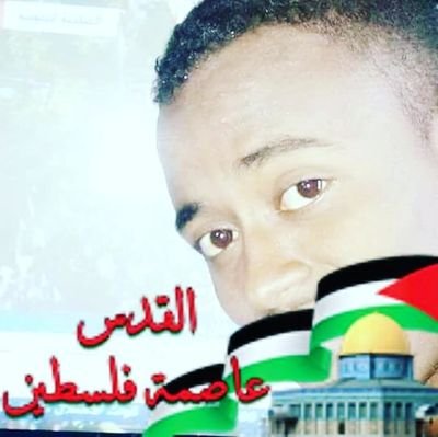 MohamedBilow1's profile picture. 